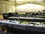 IMG_5648